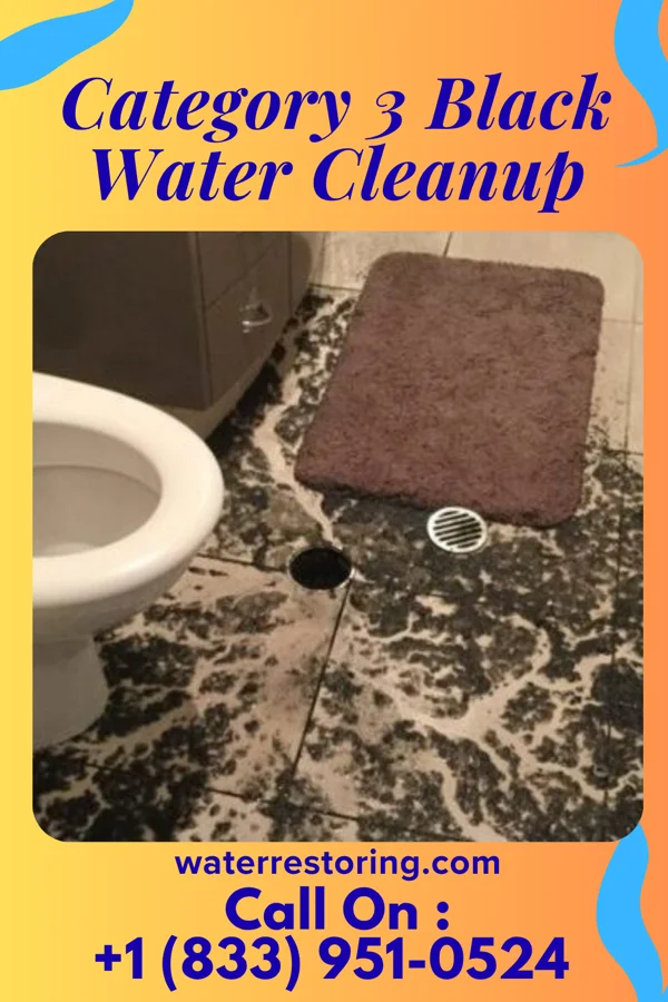 Category 3 Black Water Cleanup in Yates City, IL